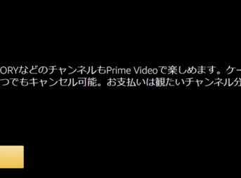 Amazonのヒストリーチャンネルは毎月３３０円